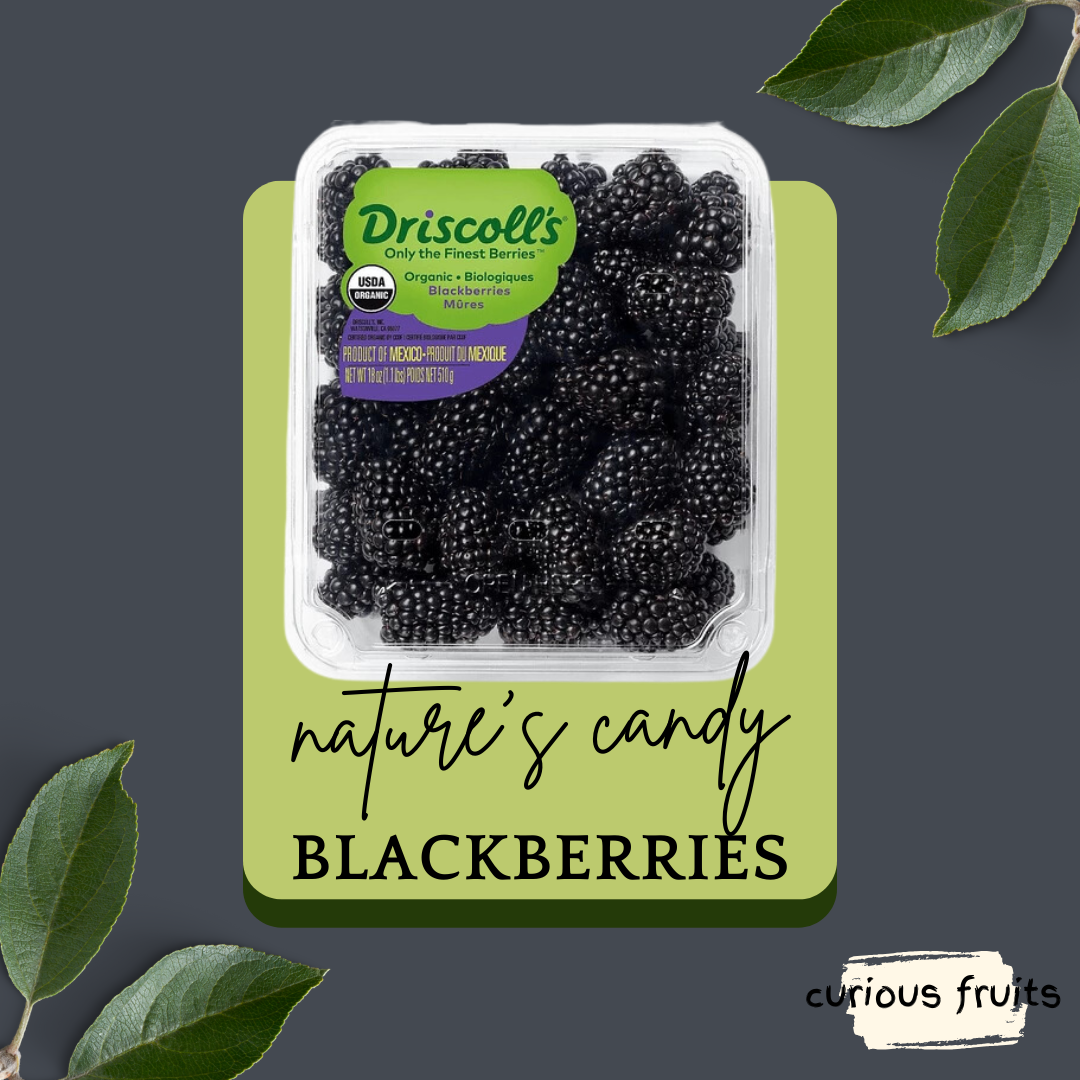 BERRY - Blackberry [Driscoll's] [USA] [1 Punnet - 125g]