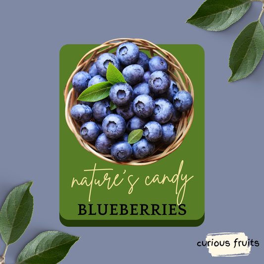 BERRY - Blueberries [Australia] [1 Punnet - 125g]