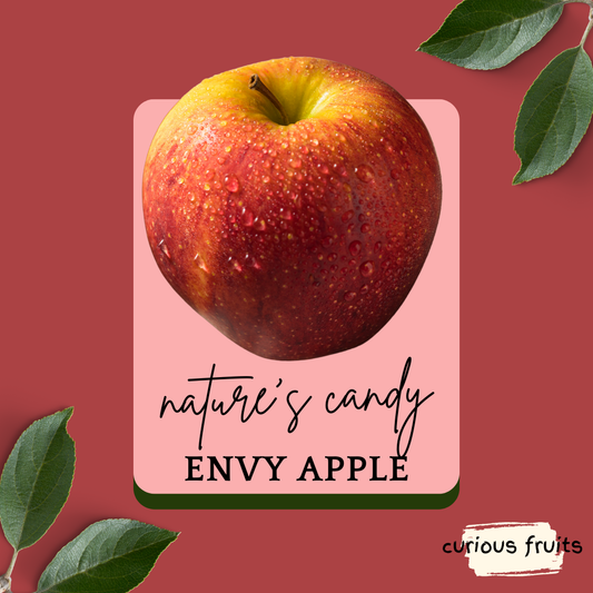 APPLE - Envy Apple [L] [New Zealand] [1 pack - 2 Piece]