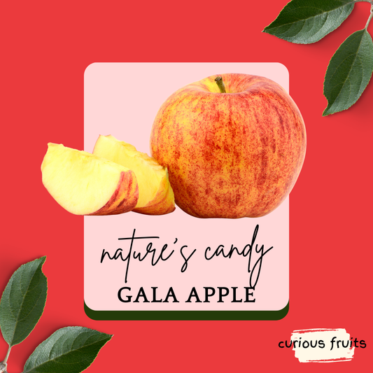 APPLE - Royal Gala Apple [New Zealand] [1 Pack - 3 Piece]