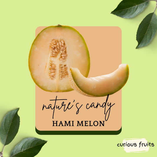 MELON - Hami Melon [China]