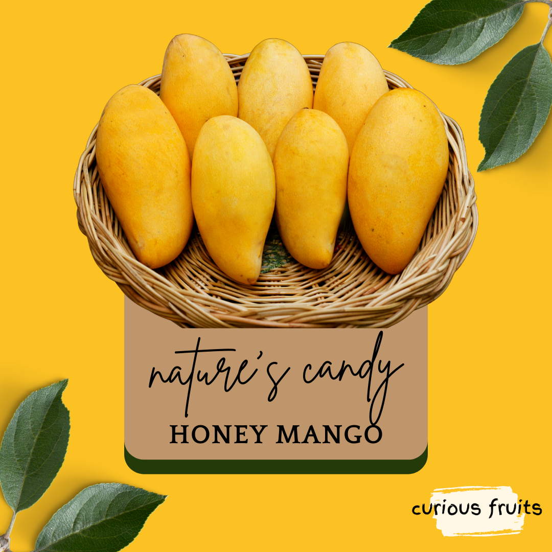 MANGO - Honey Mango [Thailand] [1 Pack - 2 Piece]