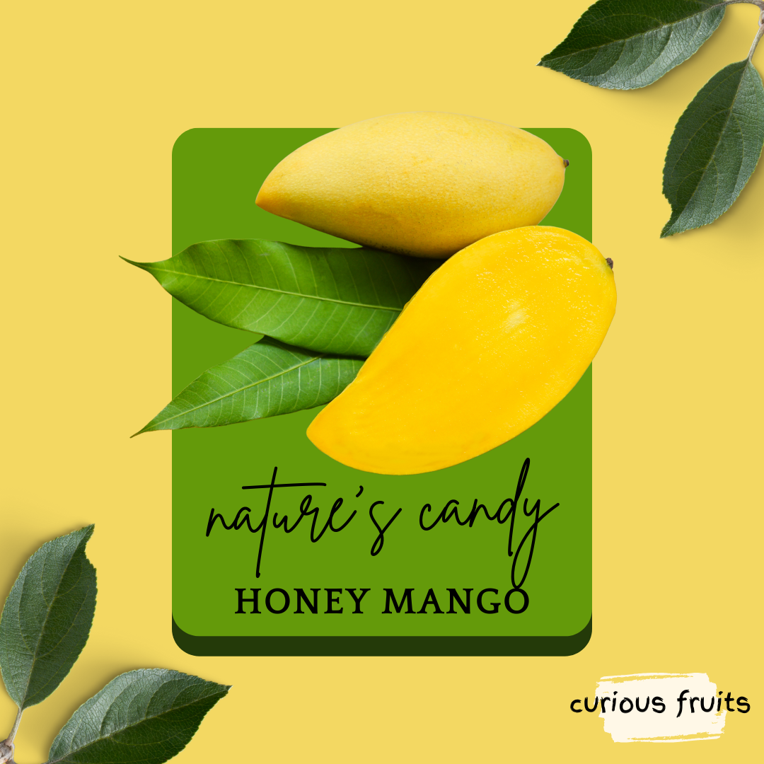 MANGO - Honey Mango [Thailand] [1 Pack - 2 Piece]