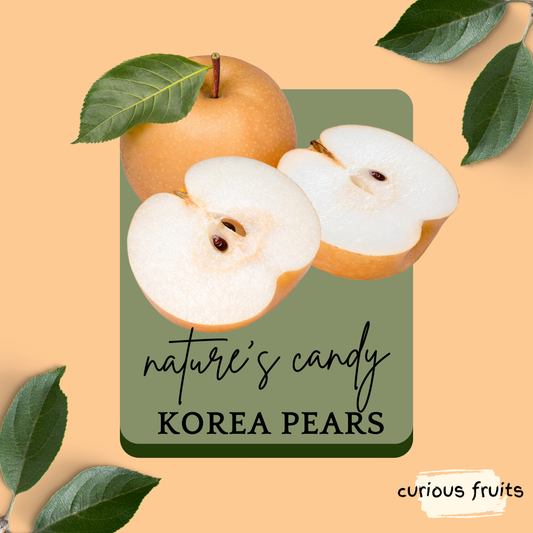 PEAR - White Pear [Korea] [1 Pack - 2 Piece]