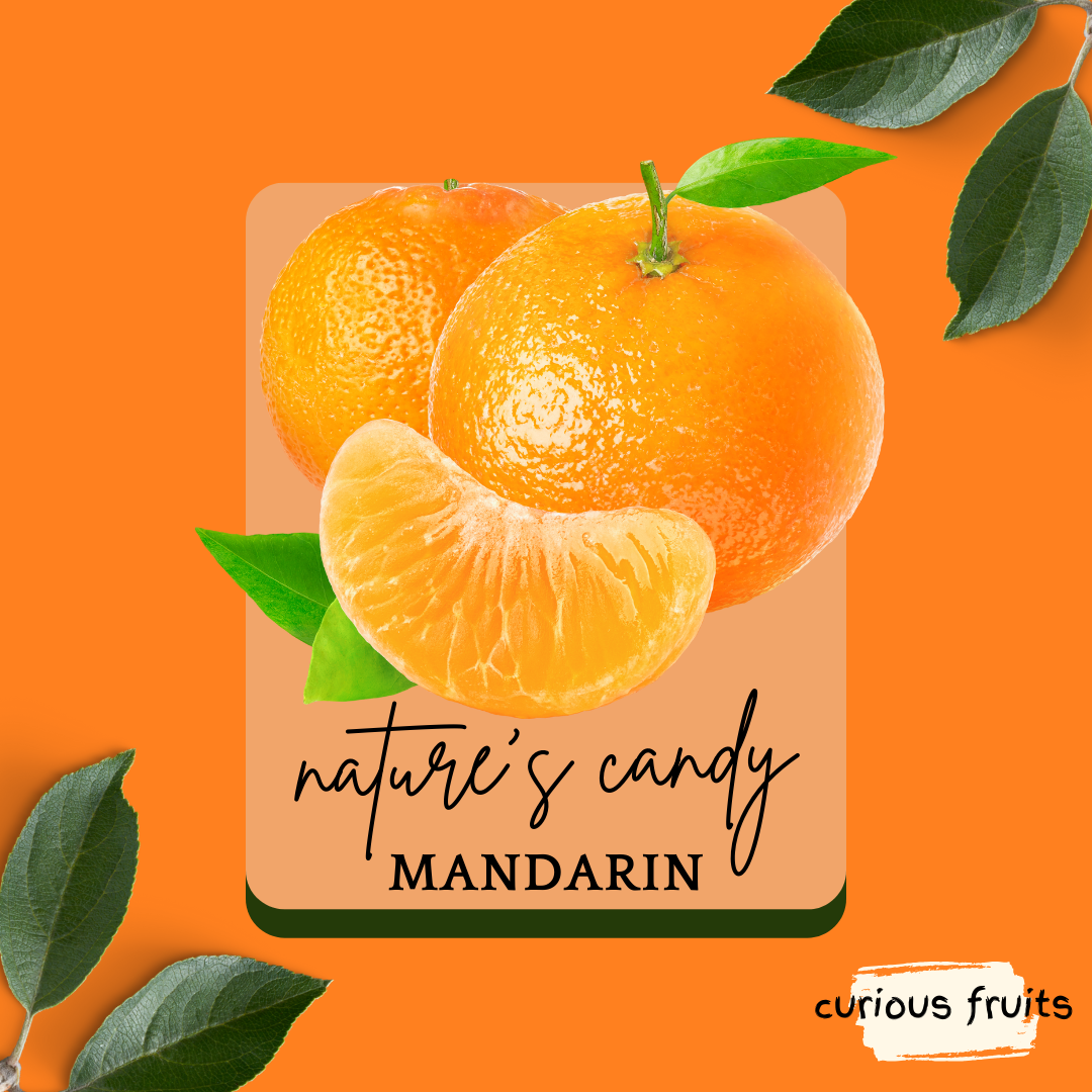 CITRUS - Mandarin Orange [1 Pack - 3 Piece]