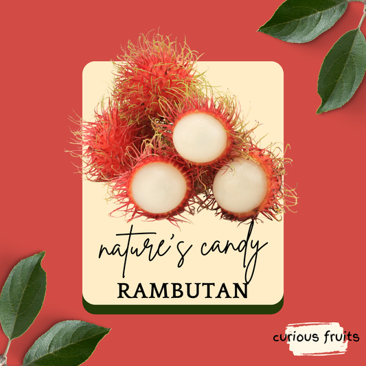 RAMBUTAN - Fresh Rambutan [Malaysia]