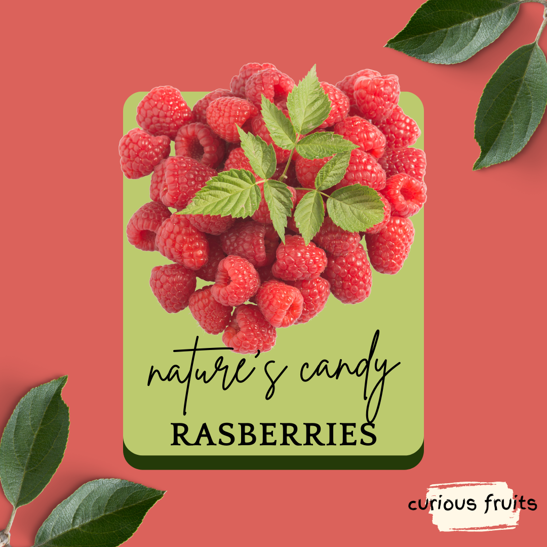 BERRY - Raspberry [Driscoll's] [USA] [1 Punnet - 125g]