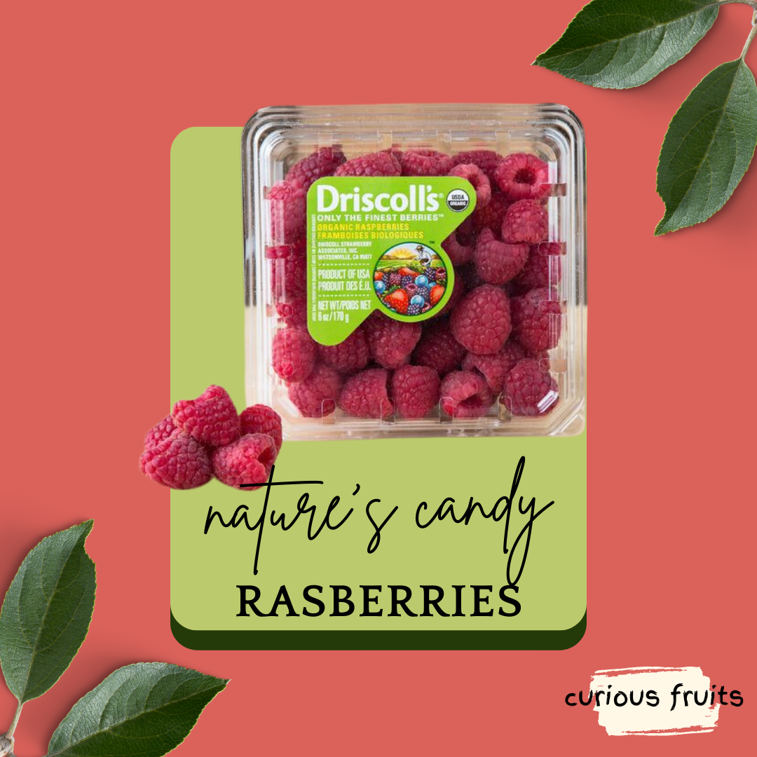 BERRY - Raspberry [Driscoll's] [USA] [1 Punnet - 125g]