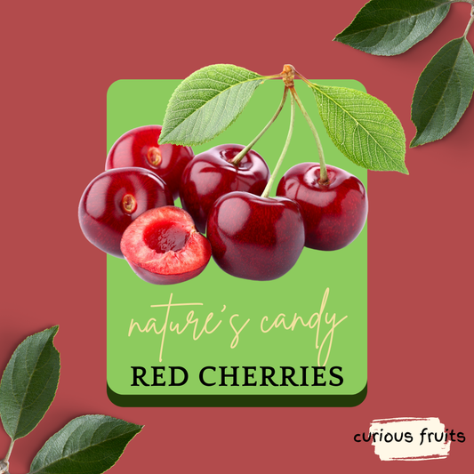 CHERRY - Fresh Red Cherry [Australia] [1 Packet - 500g]