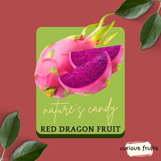 DRAGONFRUIT - Fresh Dragon Fruit [Red] [Malaysia] [1 Pack - 2 Piece]