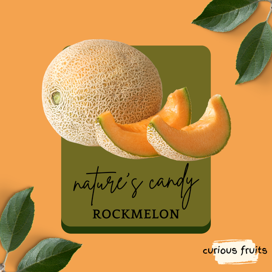 MELON - Rock Melon [Australia]