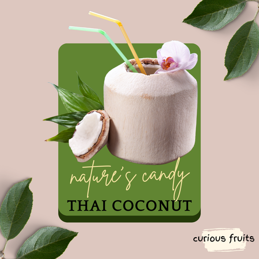 COCONUT - Fresh Coconut [Thailand]