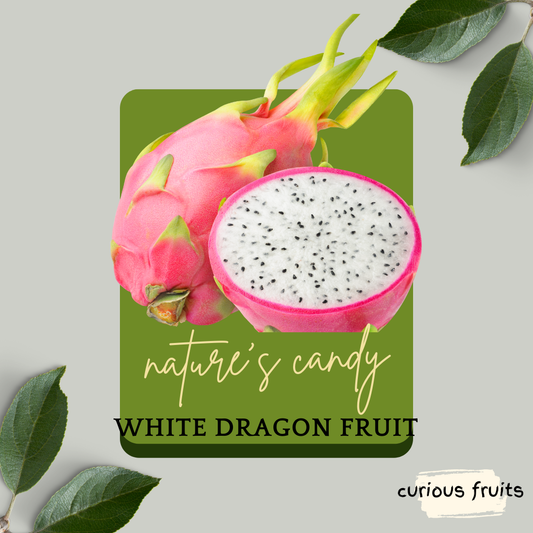 DRAGONFRUIT - Fresh Dragon fruit [White] [Vietnam] [1 Pack -2 Piece]